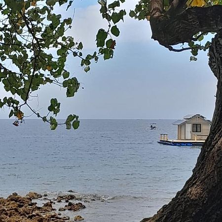 La Paparrucha Bali Bed & Breakfast Pemuteran Dış mekan fotoğraf