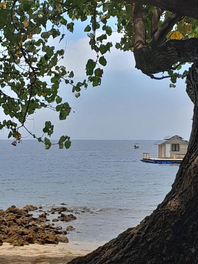 La Paparrucha Bali Bed & Breakfast Pemuteran Dış mekan fotoğraf