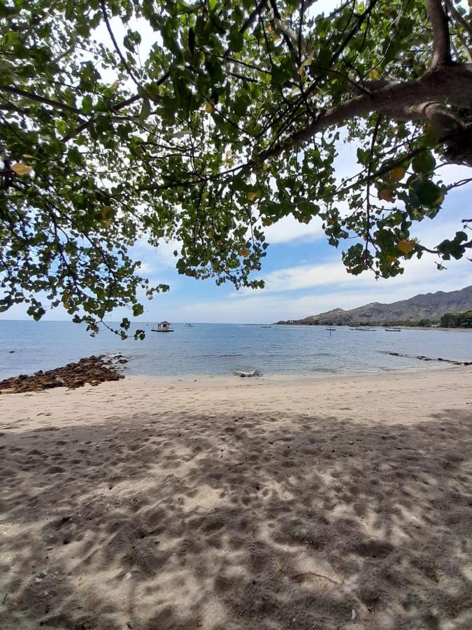 La Paparrucha Bali Bed & Breakfast Pemuteran Dış mekan fotoğraf